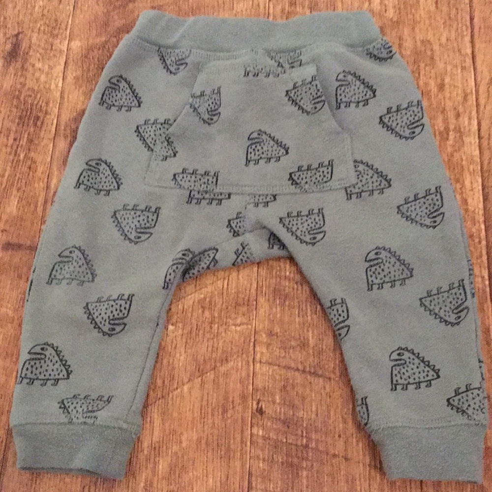 Dinosaurs sweatpants